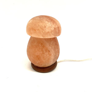 Himalayan Salt Lamp Mushroom Model