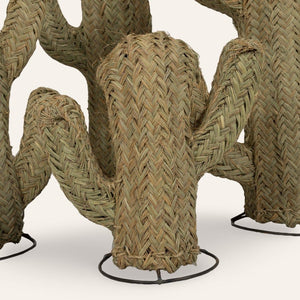 cactus esparto vegetal 40cm