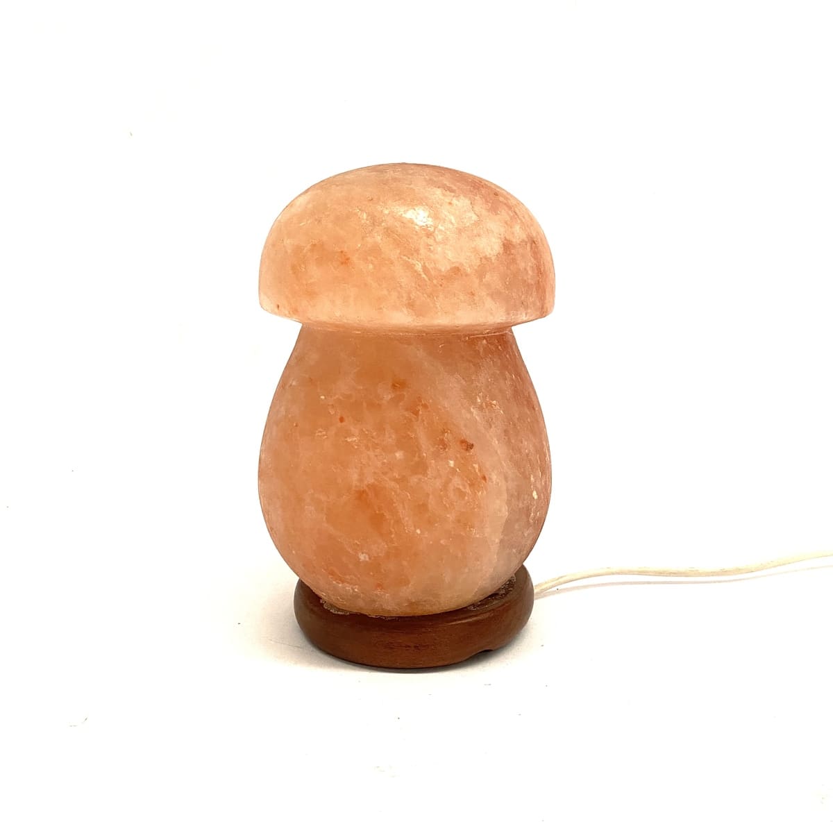Himalayan Salt Lamp Mushroom Model