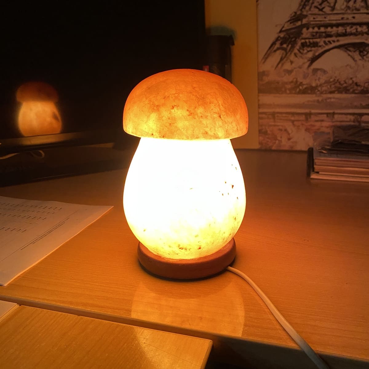 Himalayan Salt Lamp Mushroom Model