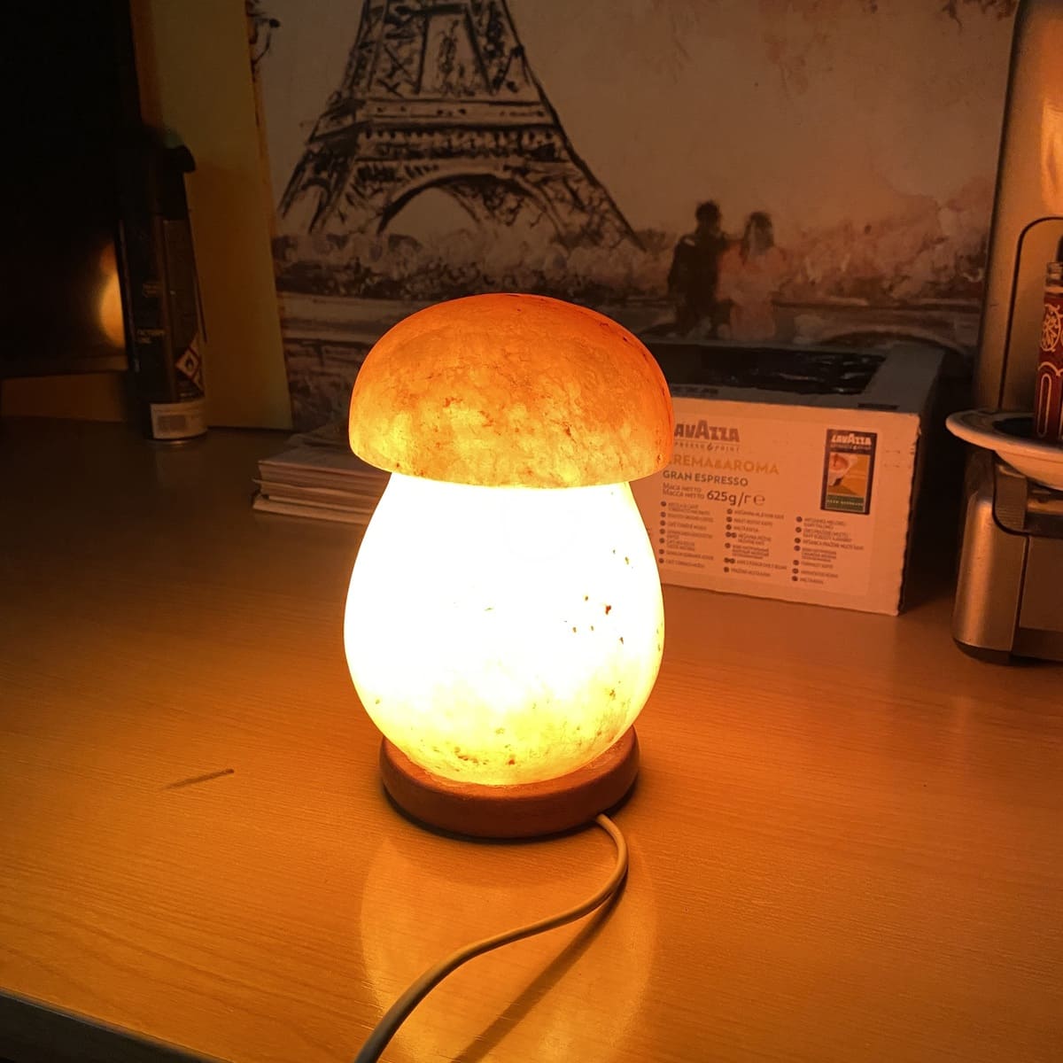 Himalayan Salt Lamp Mushroom Model