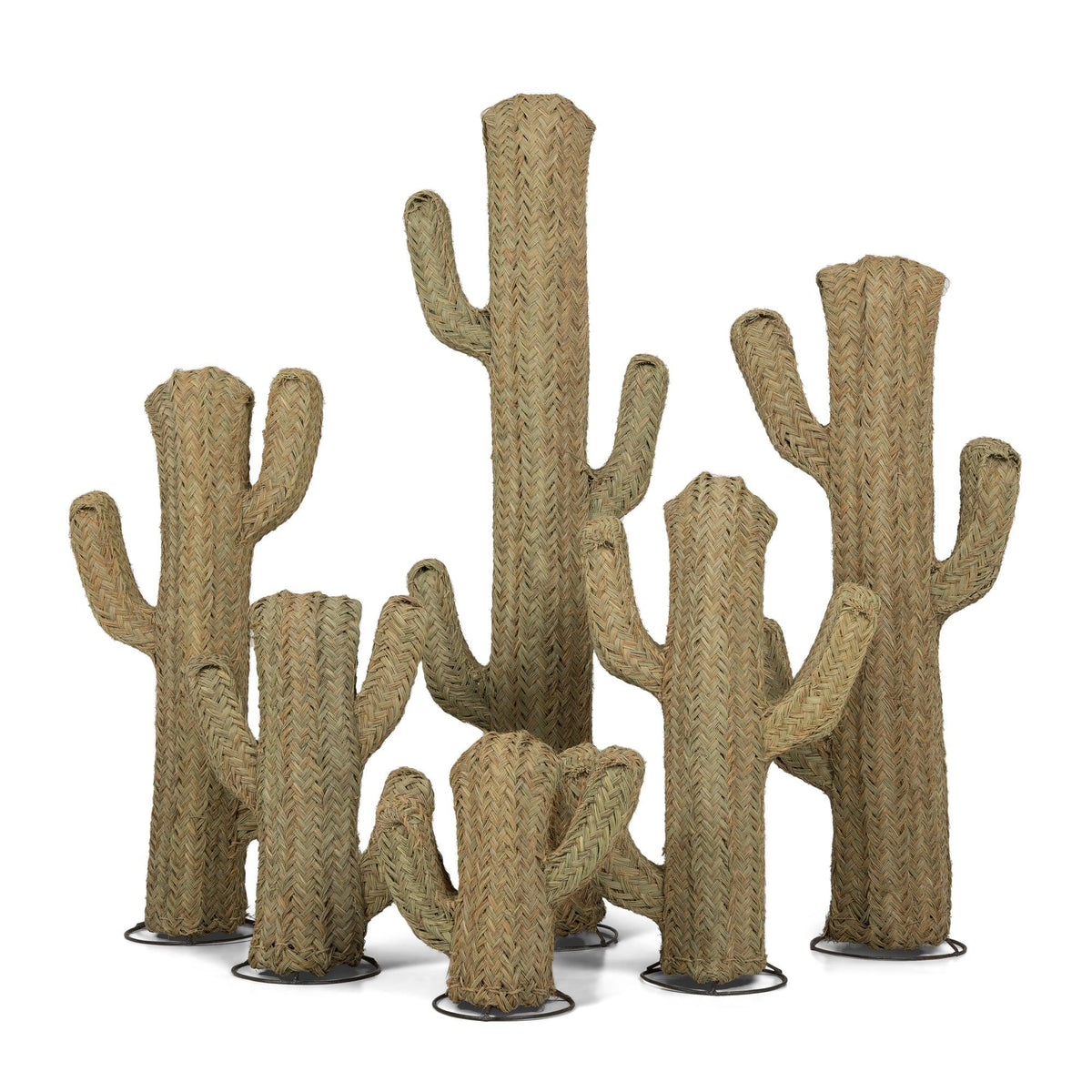 Cactus de esparto vegetal en 6 tamaños
