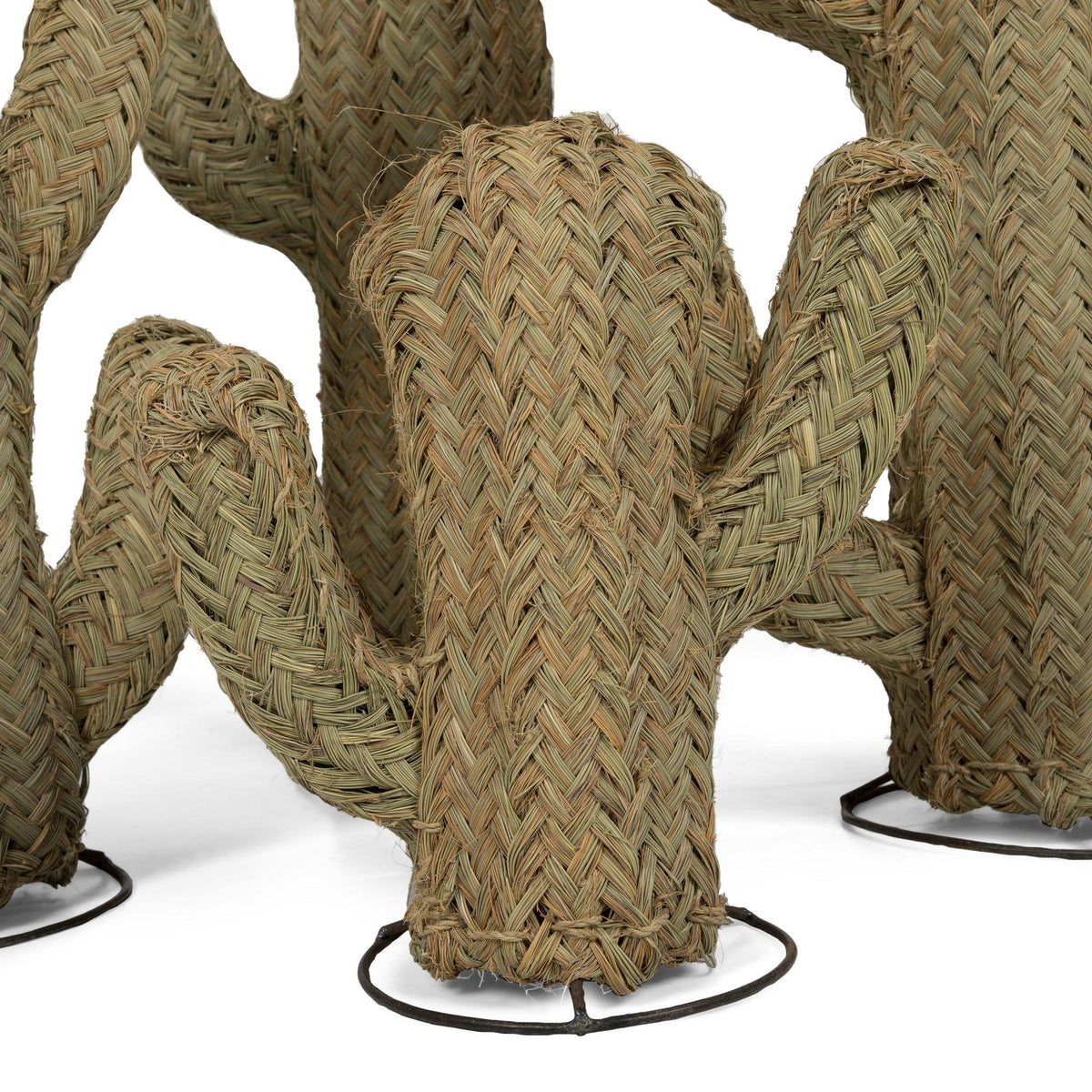 Cactus de esparto vegetal en 6 tamaños