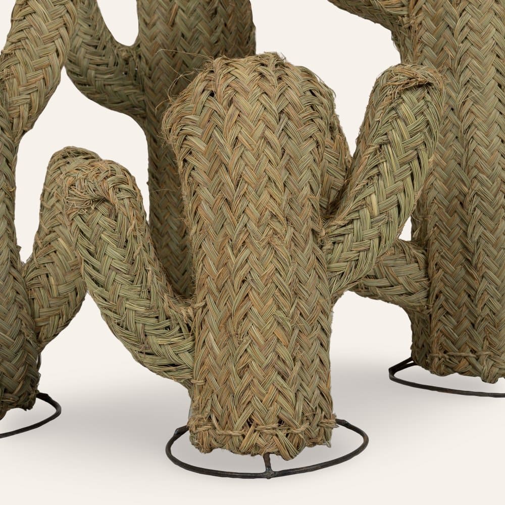 cactus esparto vegetal  40cm
